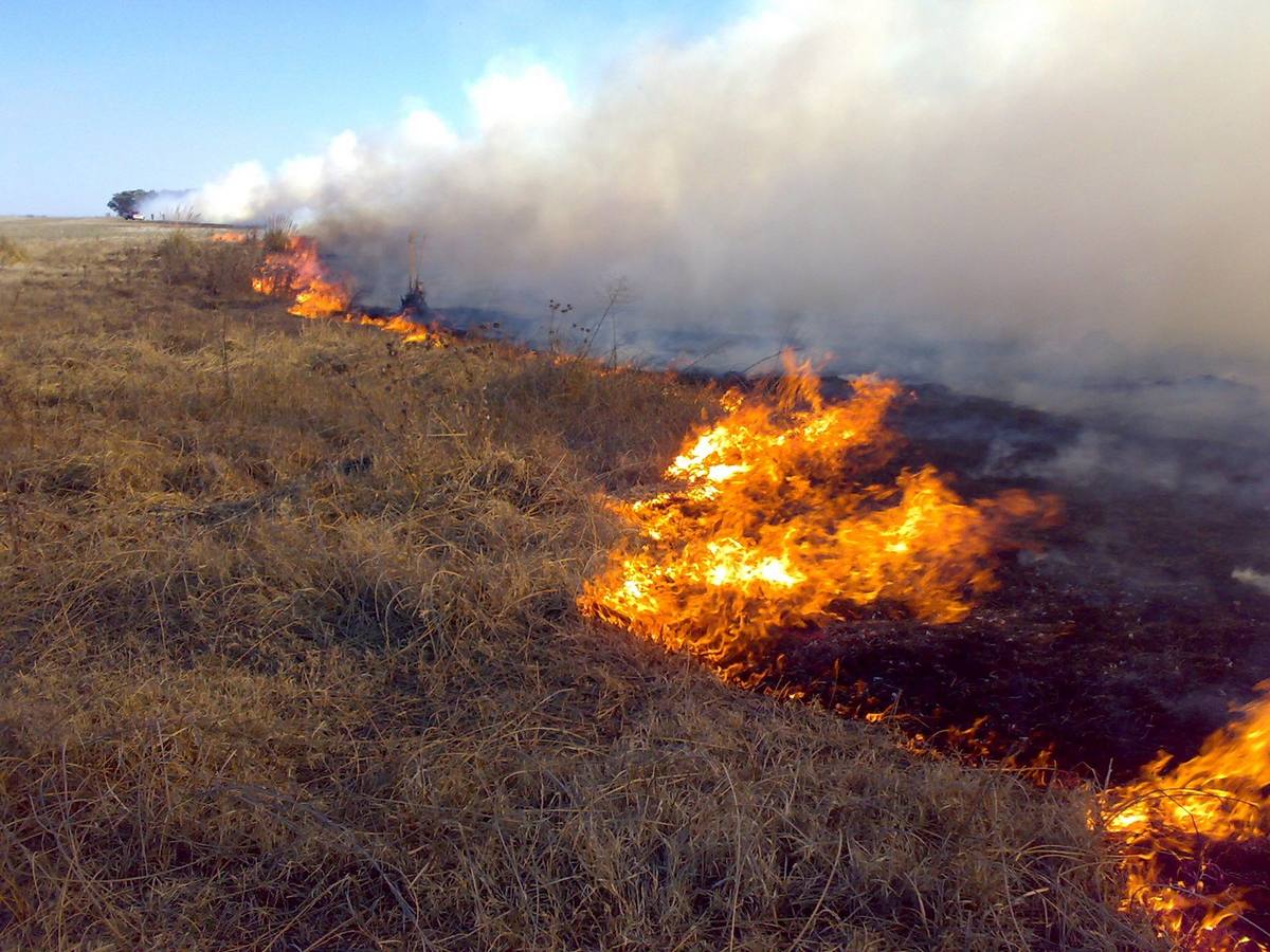 Incendio de pastos el verano pasado