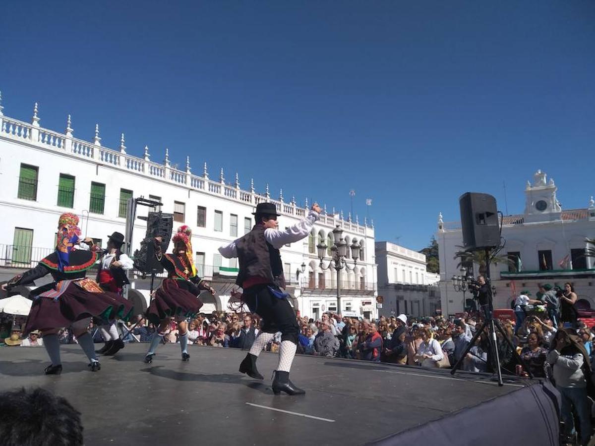 Las fotos de uno de los días más importantes de Llerena: Su Matanza Tradicional Extremeña