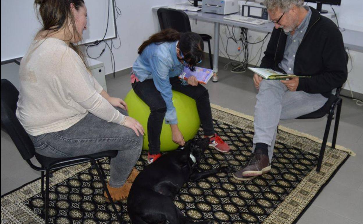 'Leo a mi mascota' la nueva actividad inclusiva de la Biblioteca