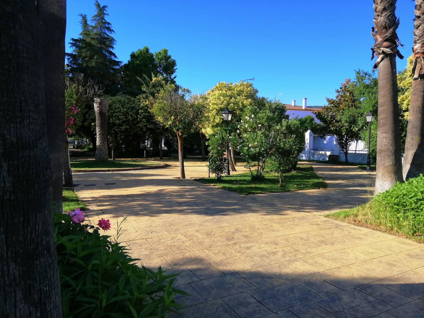 Los parques reabren sus puertas