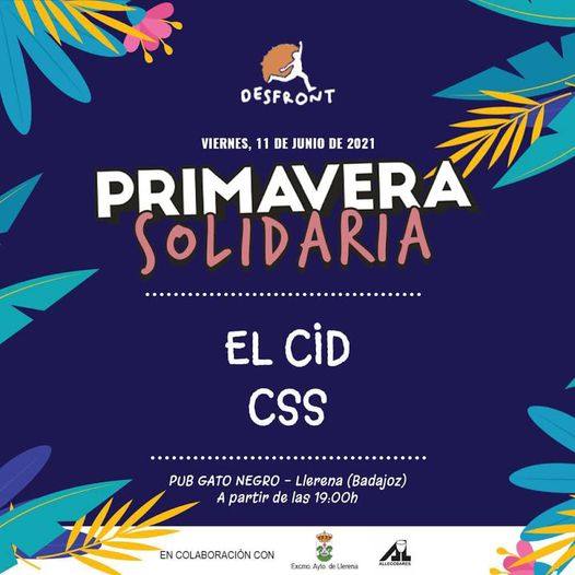 El CID y CSS en el Gato Negro