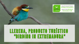 Llerena se suma a la red de turismo ornitológico Birding in Extremadura