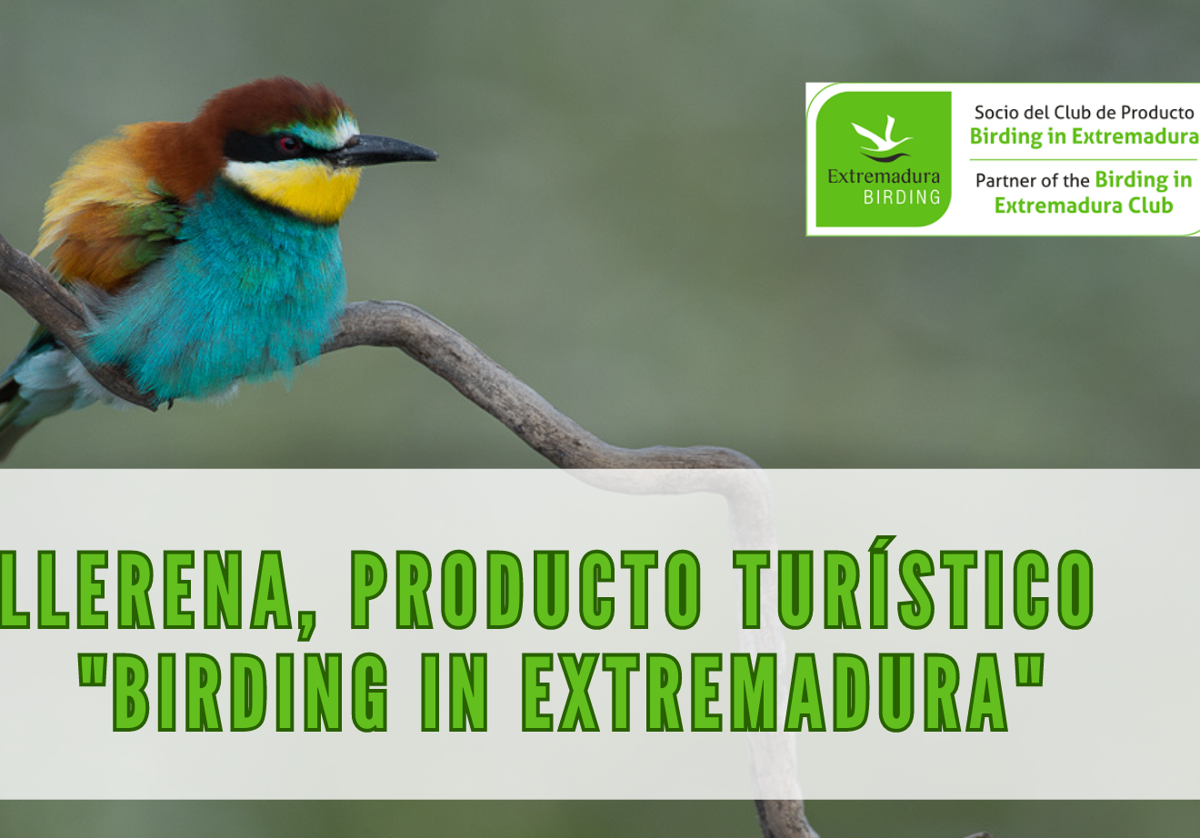 Llerena se suma a la red de turismo ornitológico Birding in Extremadura