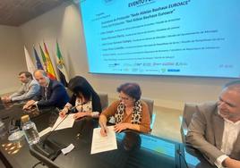 Llerena ocupa la vicepresidencia de la Red de Aldeas para el Futuro-Aldeas Bauhaus EUROACE