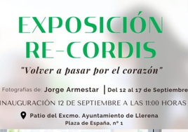 El patio del ayuntamiento acoge la exposición 'Re-cordis. Volver a pasar por el corazón'