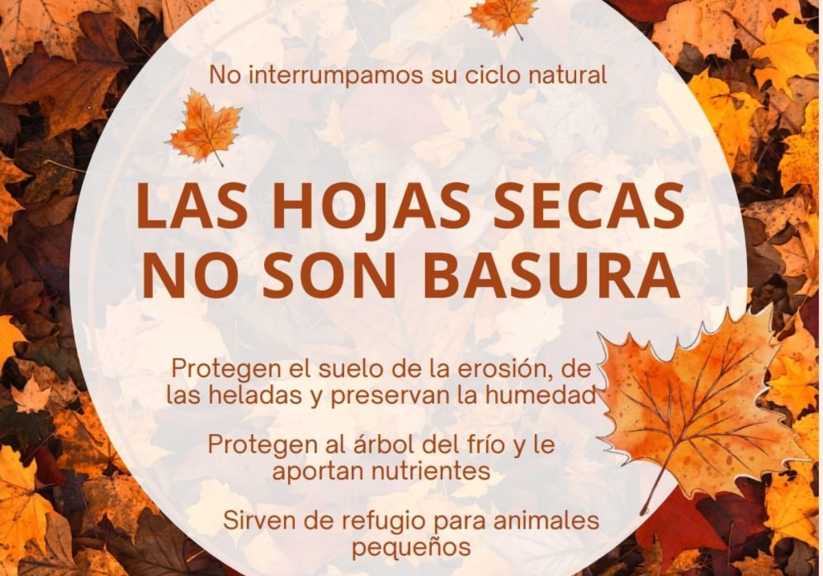 El Ayuntamiento recuerda que «las hojas secas no son basura»