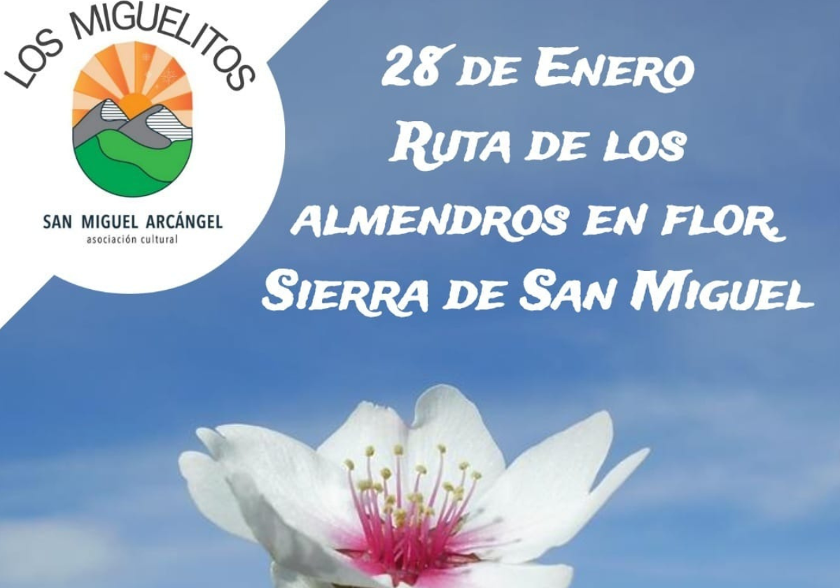 Este domingo, Ruta de los Almendros en Flor en la sierra de San Miguel