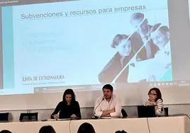 Celebrada en Llerena una Jornada Informativa sobre Recursos y Ayudas para Empresas