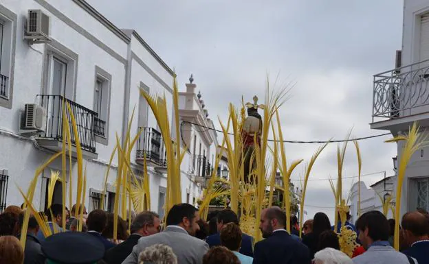 Las palmas tras la imagen 