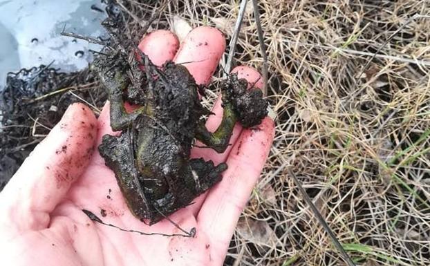 Afectan a los seres vivos de la zona 