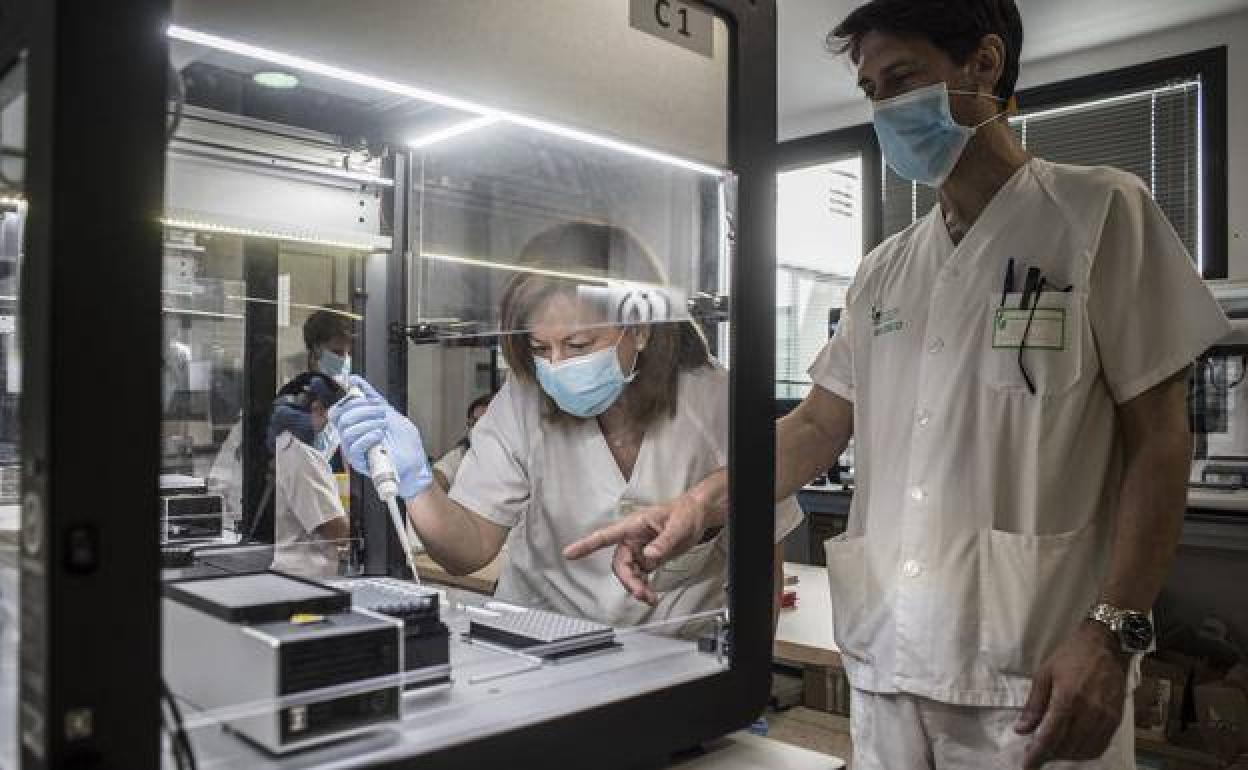 Los casos positivos diagnosticados por coronavirus en Los Santos ya ascienden a 12