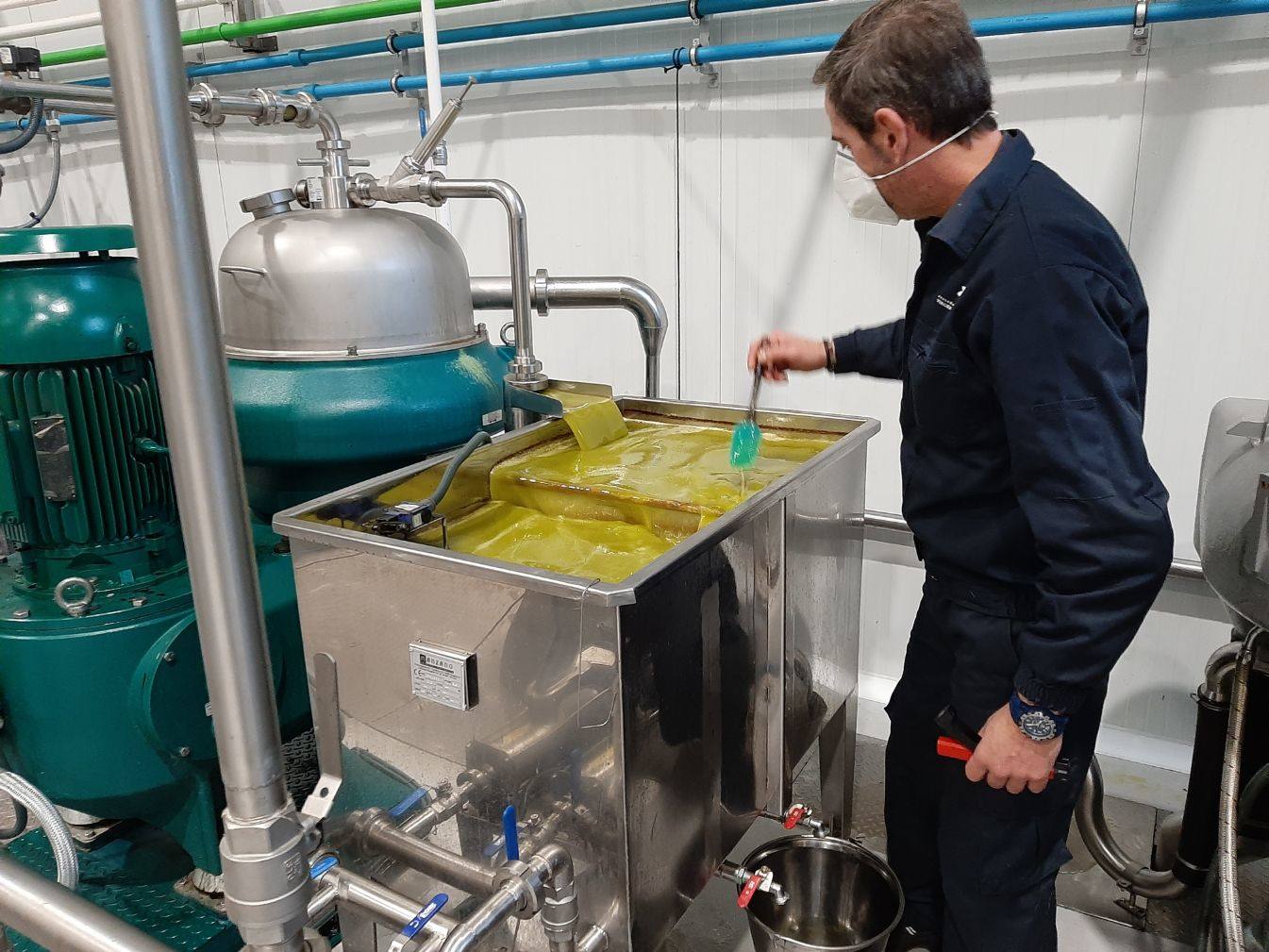 El aceite surge fresco tras la molturación y prensado 