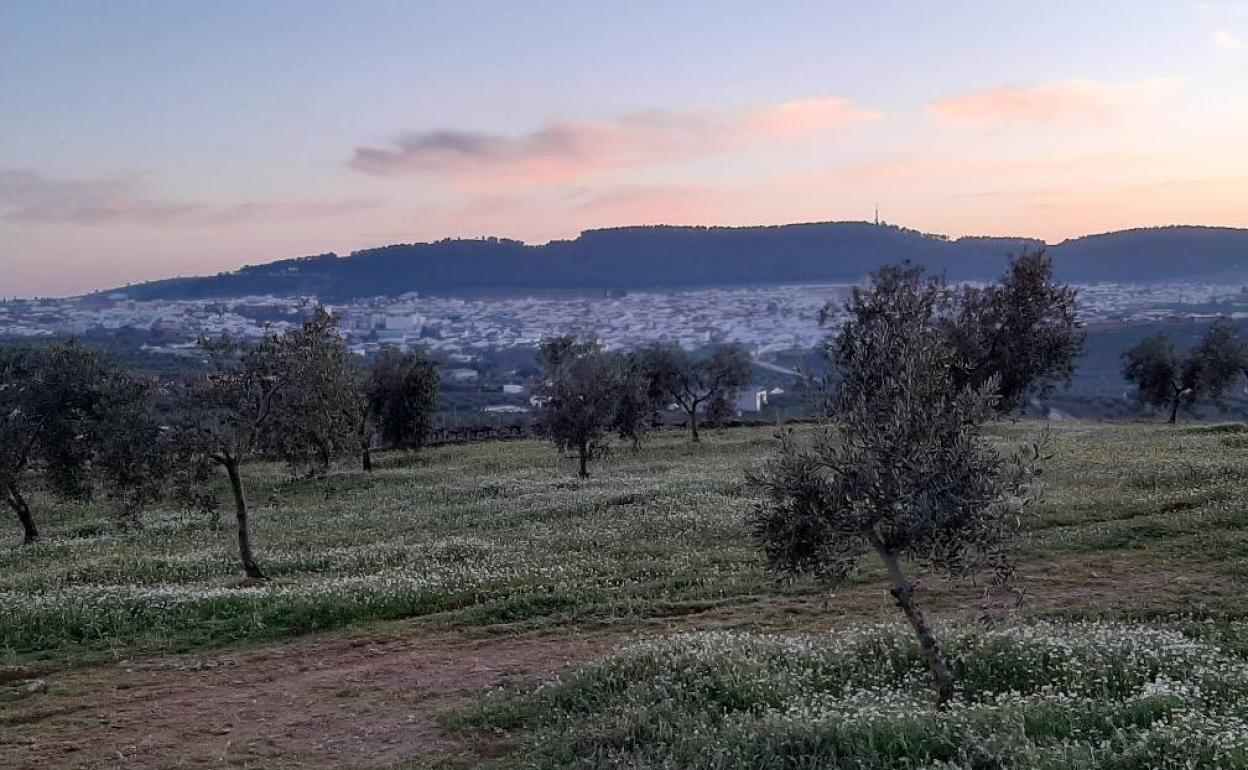 Paisaje de Los Santos 