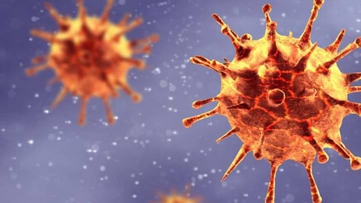 Vacuna contra el virus 