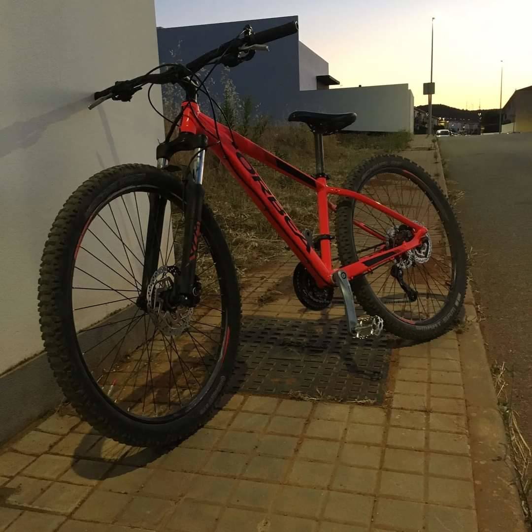 La bicicleta en cuestión 