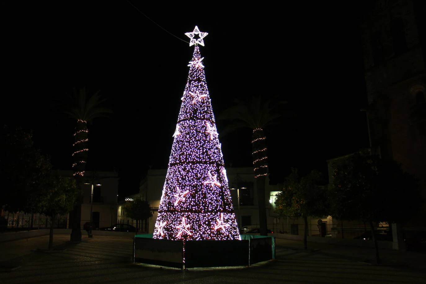 El árbol de navidad colocado en el paseo de las Barandas, tambien será encendido 