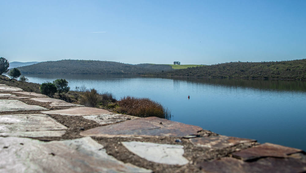 Una parte del pantano 