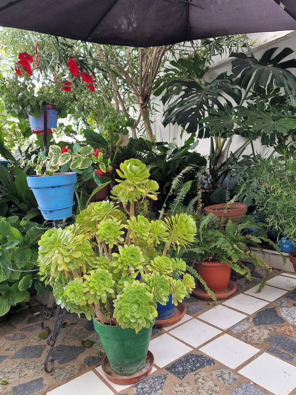 Primer premio del Concurso de Ornamentación Floral de la primavera 2022 