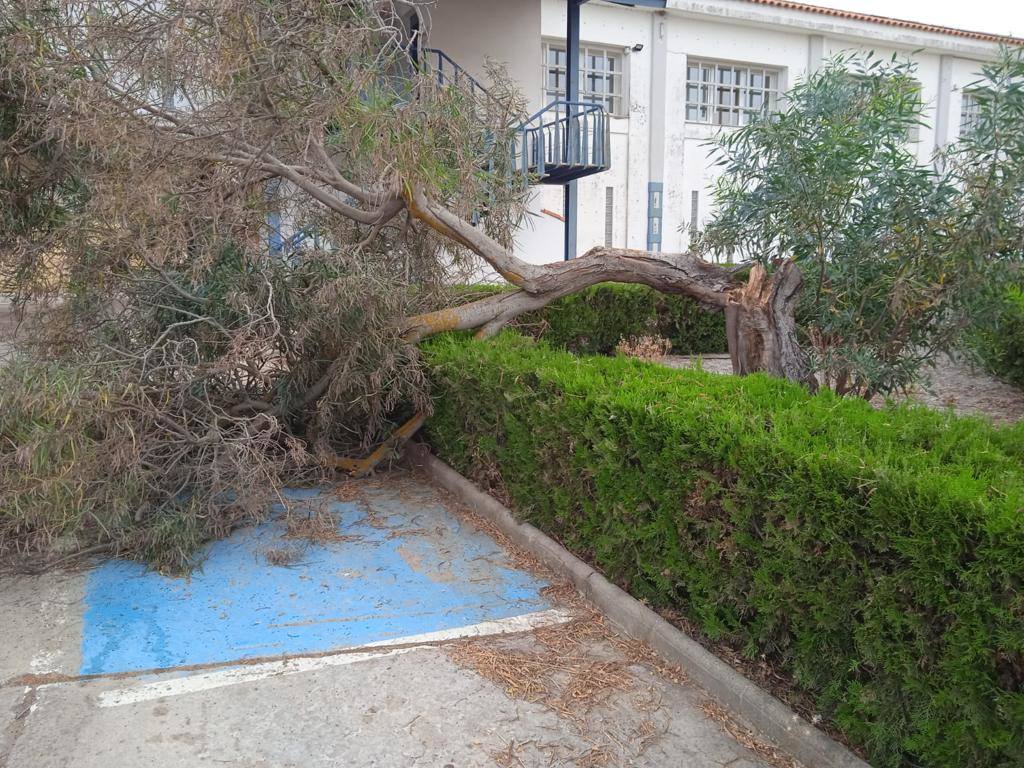 Daños causados por las fuertes ráfagas de viento del miércoles 