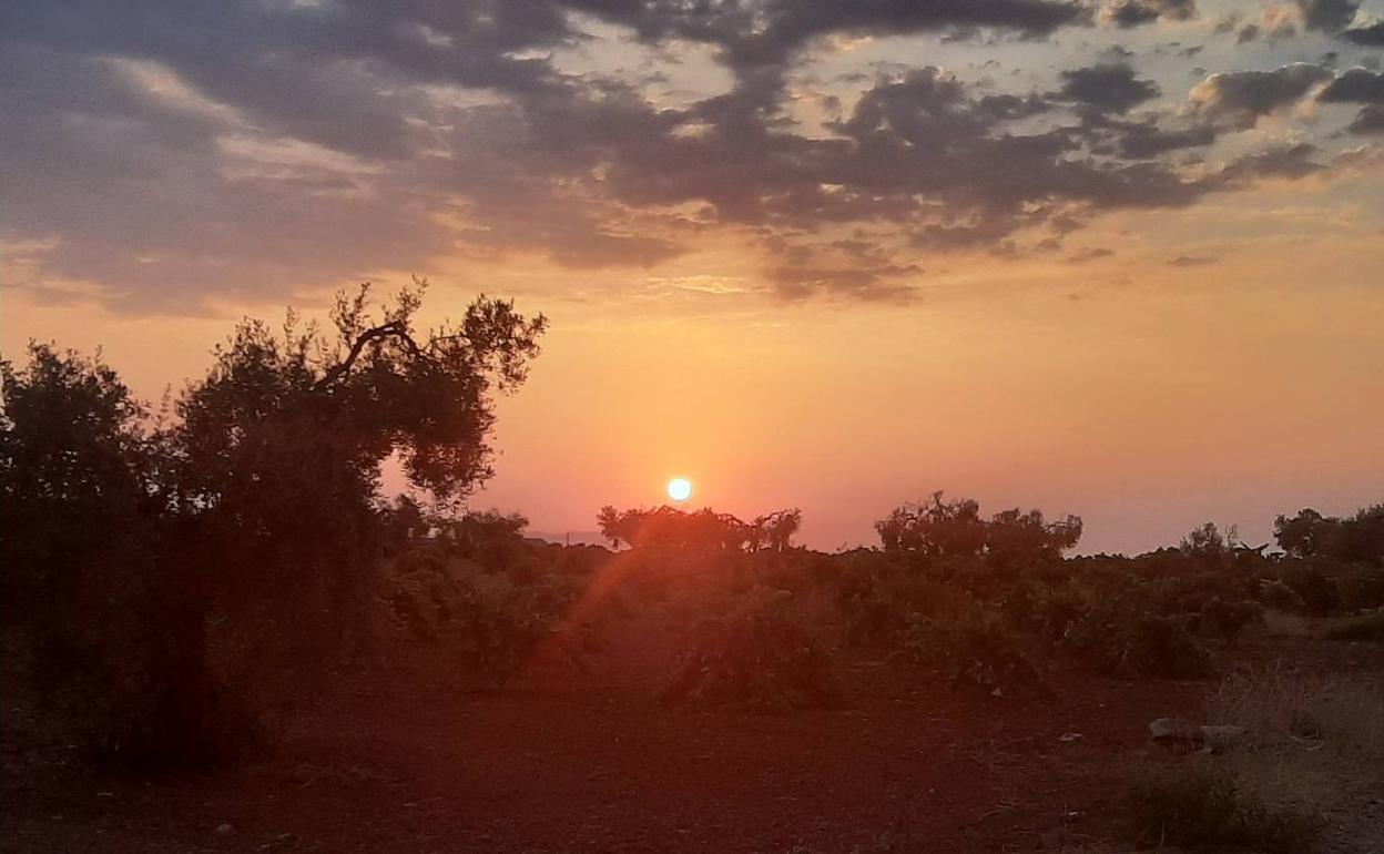 El sool vuelve a apretar 