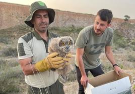 Momento del rescate de uno de los pollos