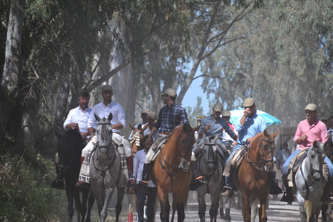 Los caballos abriendo paso