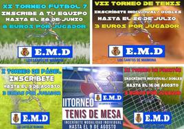 Carteles de los torneos y el duatlón de la vendimia