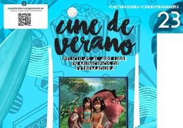 Cartel de la película