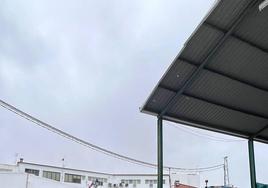 Visita a la cooperativa
