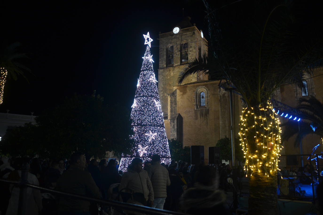 El árbol de Navidad vuelve a la Plaza