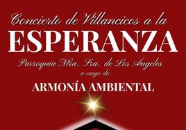 Cartel del concierto