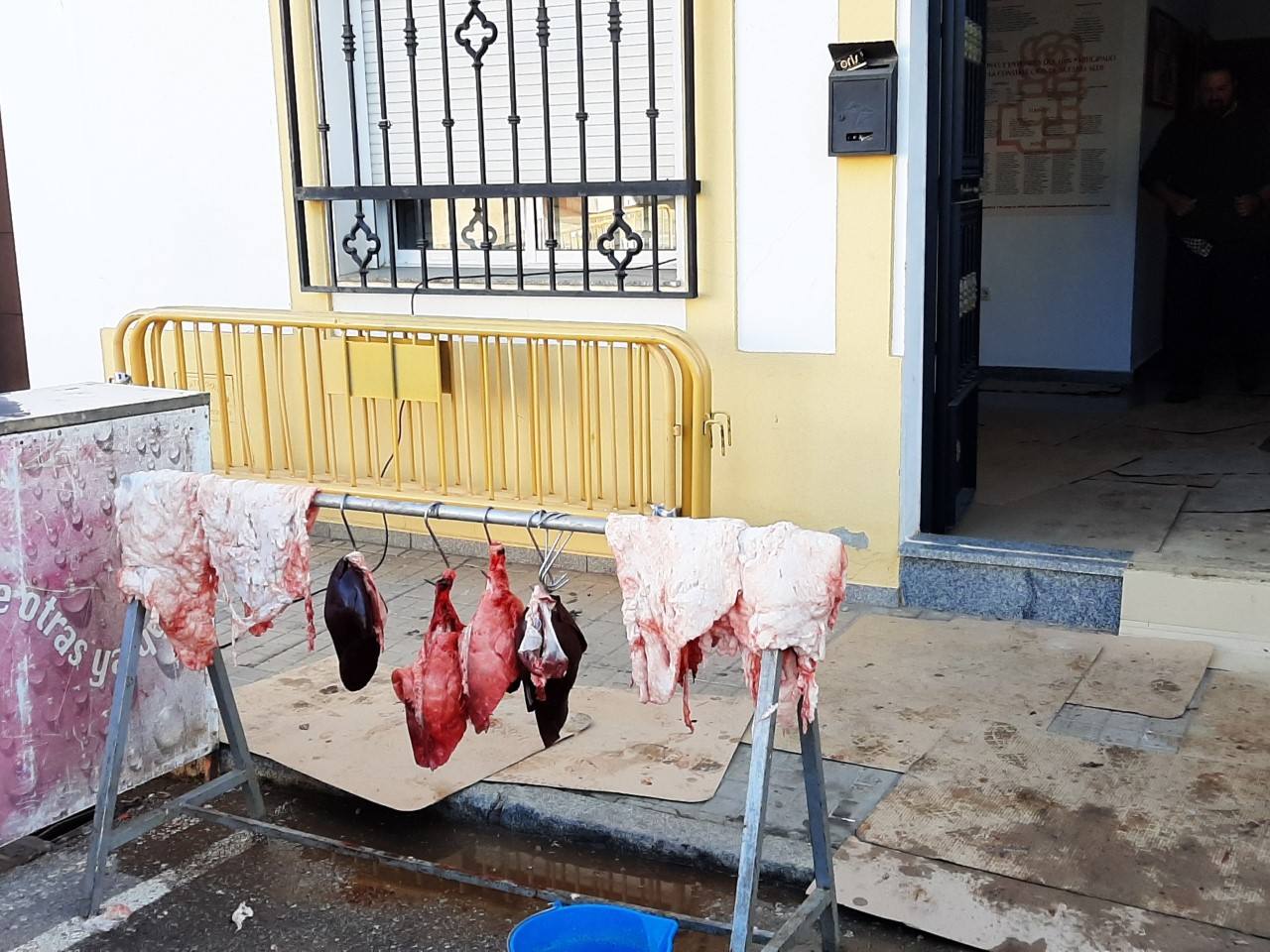 Despiece de algunas partes del guarro 