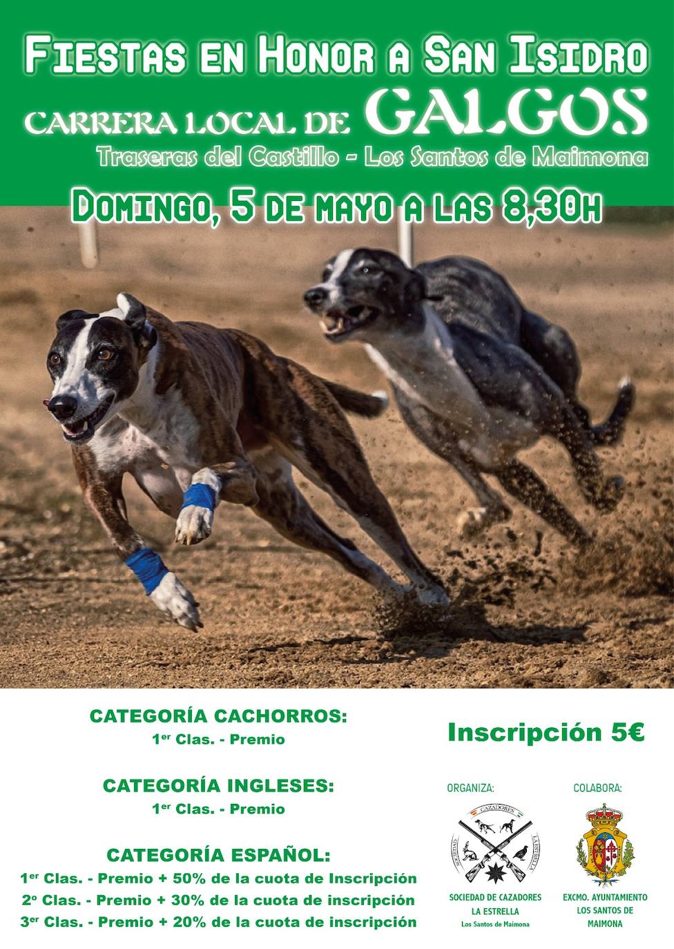 El próximo domingo se celebrará una gran carrera de galgos