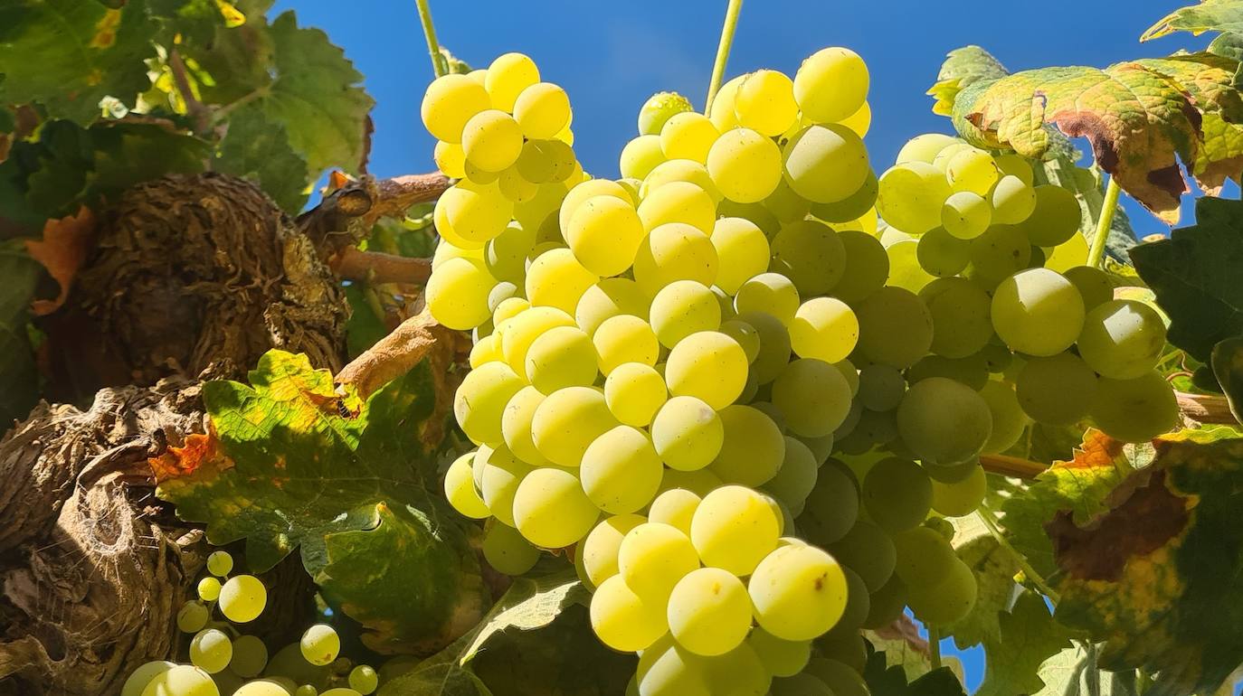 Foto ganadora ne categoría general