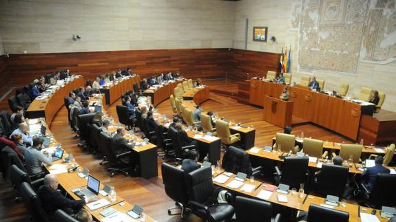 Pleno asamblea 