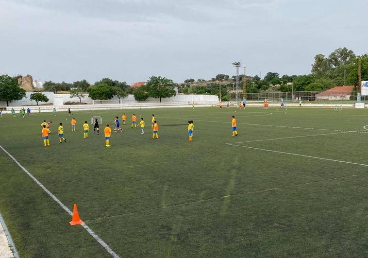 Comienzan las obras de sustitución del césped artificial del Campo de Fútbol Vicente del Bosque