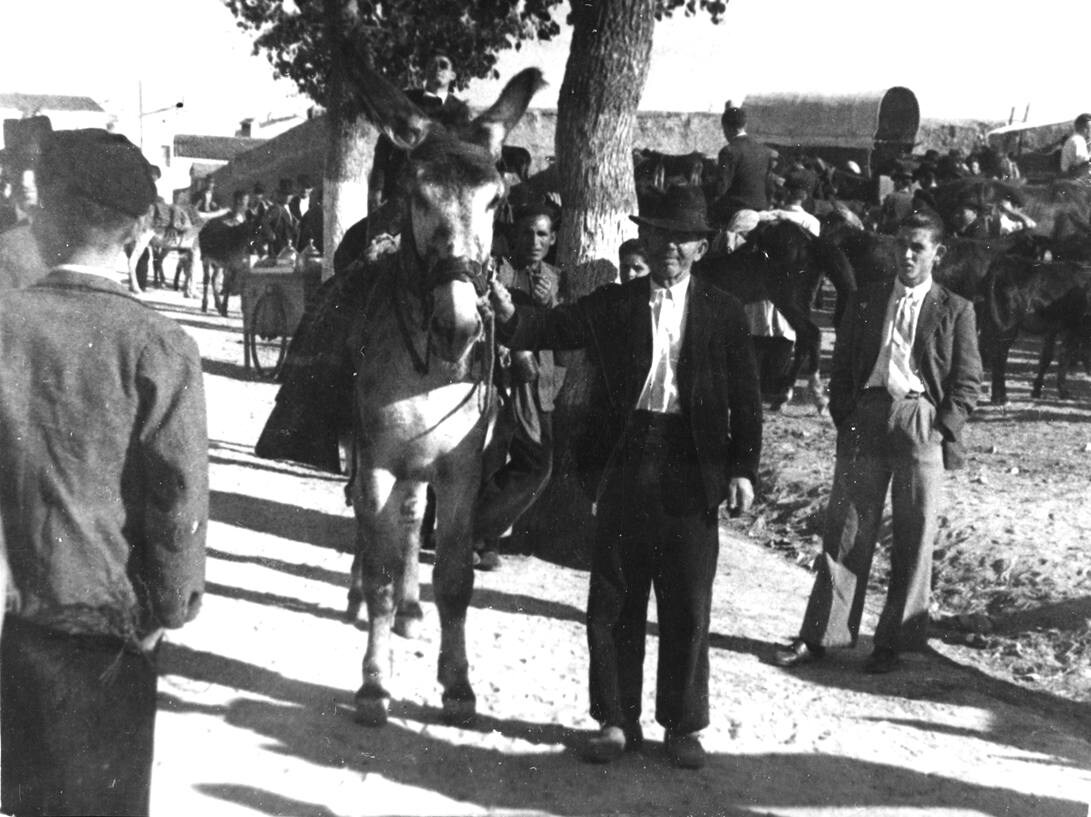 En el rodeo de ganado, durante las Ferias de septiembre, en el año 40. Cortesía Familia Díaz Moreno