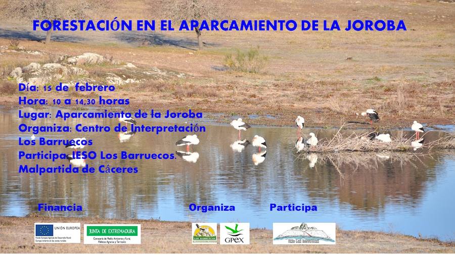 El Centro de Interpretación organiza una actividad para la forestación del aparcamiento de la Joroba