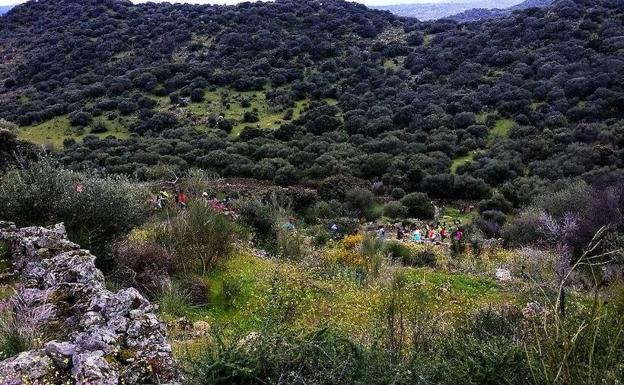 Ruta por la Sierra de San Cristóbal de Almoharín