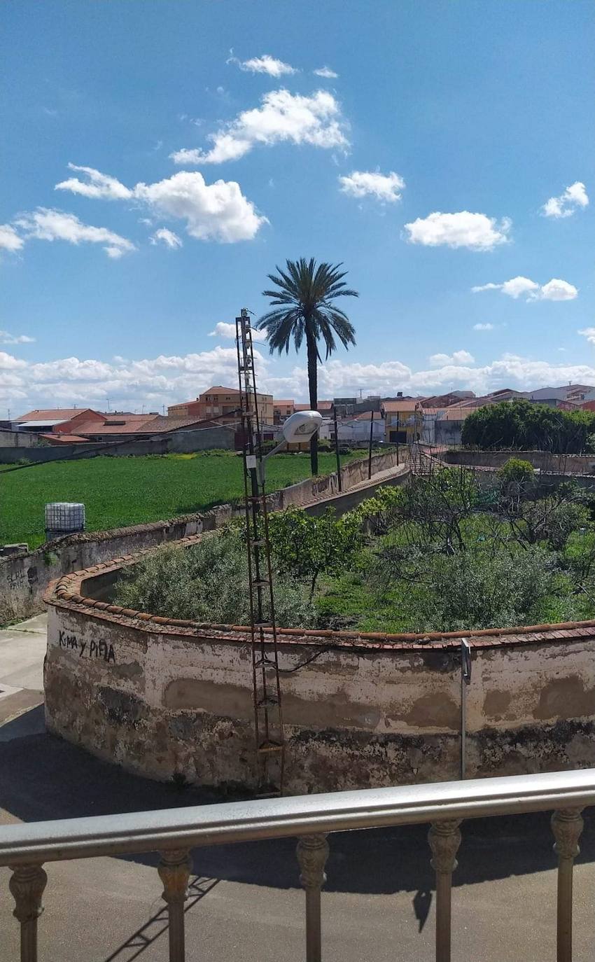 Mediante la iniciativa turística y cultural 'A través de tu ventana', impulsada por el Ayuntamiento, los vecinos de Miajadas comparten las vistas que poseen desde sus ventanas, balcones o terrazas para que todos puedan seguir paseando por sus calles. La calle Infanta Cristina, la avenida Cruz de los Pajares, calle Faldiego, avenida Trujillo, calle Los almendros, calle Andrés Segovia, Los naranjos, plaza La Llanada, el parque de Los Mártires, calle Dos de mayo, calle Castelar, el barrio La estación, la calle Paloma, calle Alfredo Kraus, calle Prim, el barrio de Las 100 viviendas, calle Palacios, calle Canteros, Salvador Dalí, avenida García Siñeriz, calle Medellín, Picasso, Obra Pía, la calle Juan de Ávalos, Acacias, Martín Cerezo, la plaza Santa Teresa o la calle Corredera son algunos de los hermosos rincones de la localidad, vistos ahora con otros ojos. 