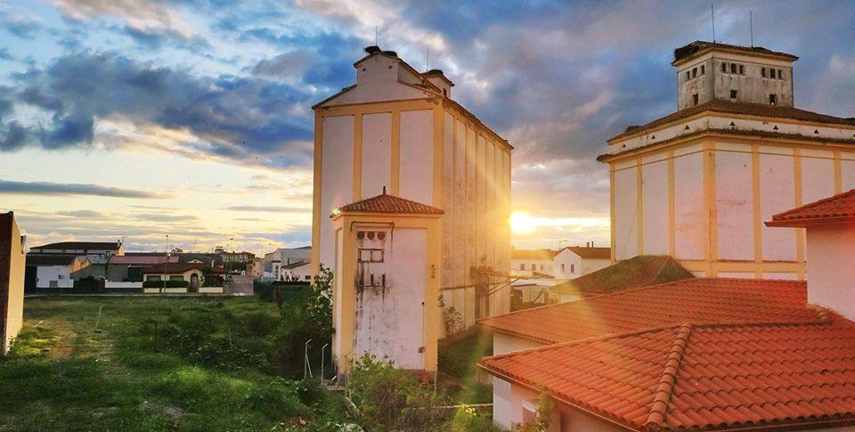 Mediante la iniciativa turística y cultural 'A través de tu ventana', impulsada por el Ayuntamiento, los vecinos de Miajadas comparten las vistas que poseen desde sus ventanas, balcones o terrazas para que todos puedan seguir paseando por sus calles. La calle Infanta Cristina, la avenida Cruz de los Pajares, calle Faldiego, avenida Trujillo, calle Los almendros, calle Andrés Segovia, Los naranjos, plaza La Llanada, el parque de Los Mártires, calle Dos de mayo, calle Castelar, el barrio La estación, la calle Paloma, calle Alfredo Kraus, calle Prim, el barrio de Las 100 viviendas, calle Palacios, calle Canteros, Salvador Dalí, avenida García Siñeriz, calle Medellín, Picasso, Obra Pía, la calle Juan de Ávalos, Acacias, Martín Cerezo, la plaza Santa Teresa o la calle Corredera son algunos de los hermosos rincones de la localidad, vistos ahora con otros ojos. 