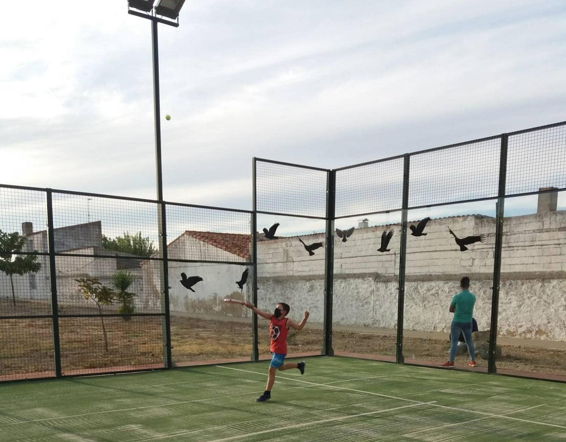 Casar de Miajadas ha celebrado su 'Octubre Cultural' con la intención de hacer llegar actividades variadas a sus vecinos e impulsar la cultura segura como alternativa de ocio. A lo largo de todo el mes los pequeños participaron en una tarde de gymkana infantil, también pudieron disfrutar del juego 'Los tapones locos' y un torneo de pádel con premios. Asimismo, los pequeños casareños participaron en una tarde de juegos populares, donde practicaron juegos tradicionales inventados mucho antes de su nacimiento. Además, enmarcado en este mes particular, la localidad acogió el concierto del extremeño Aurelio Gallardo. 
