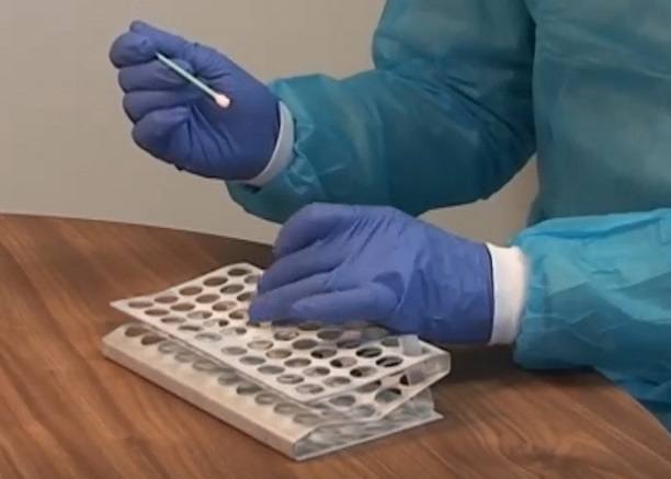 Un buen dato teniendo en cuenta la cantidad de PCR realizadas 