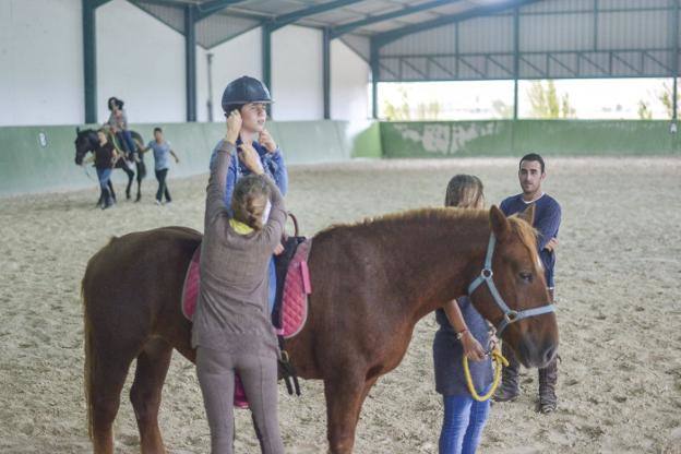 Terapia equina en las instalaciones de la Asociación de Zooterapia de Extremadura 