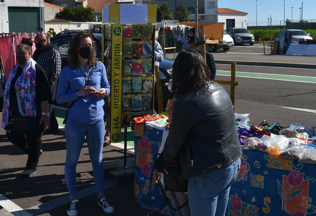 El sol, las altas temperaturas y las buenas compra-ventas pusieron la guinda a la Campaña del Stock en Miajadas. Vecinos y visitantes se animaron a dar un paseo por la zona del mercadillo donde el domingo se instalaron un total de 18 comerciantes de la localidad, quienes a su vez pasaron un gran día en familia. Ropa y calzado para todas las edades, complementos, artículos de decoración, muebles, productos de herboristería, jardinería, todo para las mascotas, aperitivos,.... Durante la jornada entregaron el cheque de 10 euros y al final de ella sortearon en directo los tres cheques de 60, 80 y 150 euros entre los clientes. 