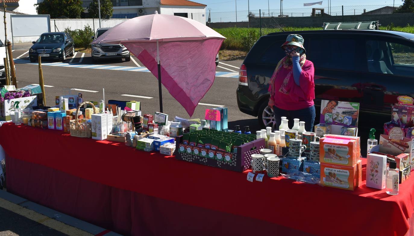 El sol, las altas temperaturas y las buenas compra-ventas pusieron la guinda a la Campaña del Stock en Miajadas. Vecinos y visitantes se animaron a dar un paseo por la zona del mercadillo donde el domingo se instalaron un total de 18 comerciantes de la localidad, quienes a su vez pasaron un gran día en familia. Ropa y calzado para todas las edades, complementos, artículos de decoración, muebles, productos de herboristería, jardinería, todo para las mascotas, aperitivos,.... Durante la jornada entregaron el cheque de 10 euros y al final de ella sortearon en directo los tres cheques de 60, 80 y 150 euros entre los clientes. 