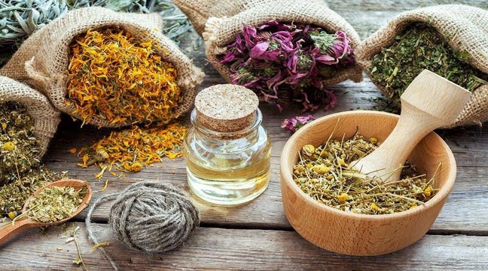 Uno de los talleres es el de 'Plantas medicinales y sus usos' 