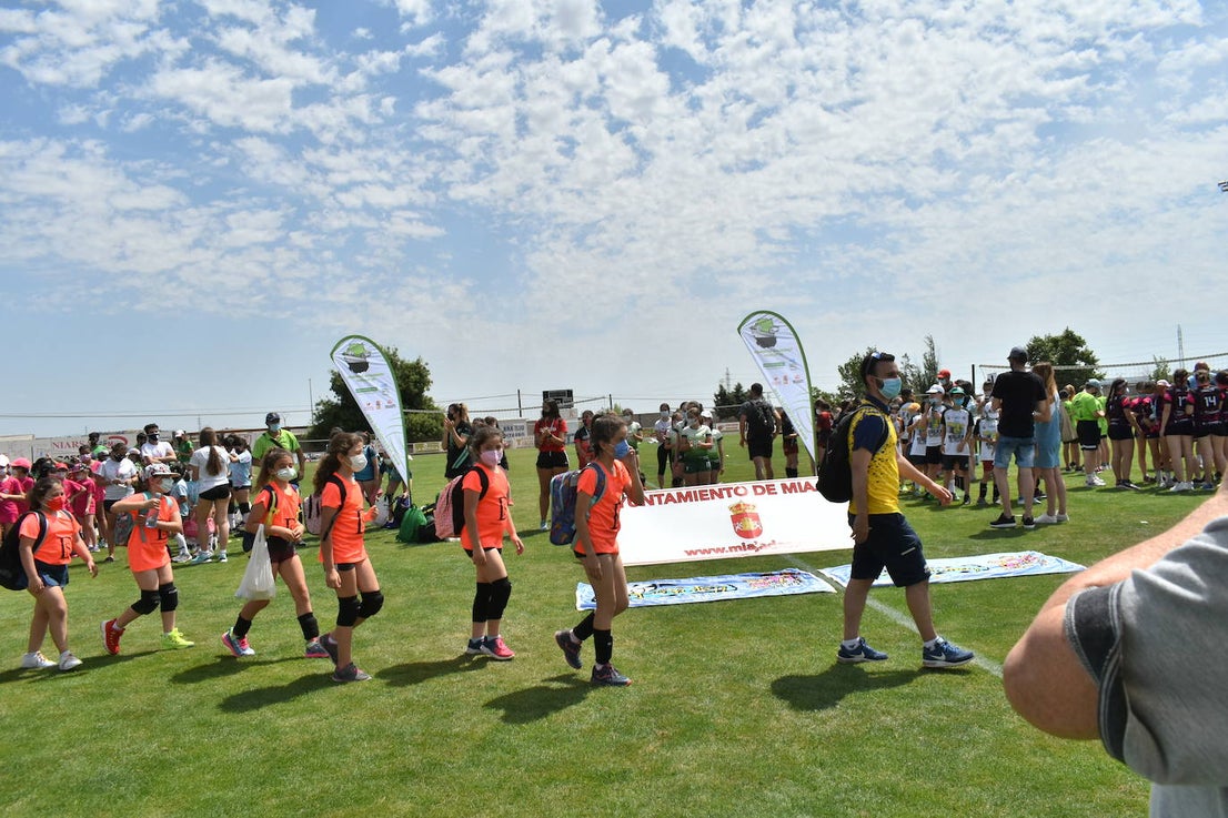 El Estadio Municipal de Miajadas acogió el 'X Día del Minivoley de Extremadura', en el que se dieron cita unos 340 jugadores prebenjamines, benjamines y alevines llegados desde Cáceres, Badajoz, Mérida, Coria, Usagre, Almendralejo, Brozas, Torrejoncillo, Ribera del Fresno, Madrigal de la Vera, Villanueva del Fresno y Miajadas. El césped fue dividido en diez canchas en las que disputaron distintos partidos de manera simultánea desde las 10 de la mañana hasta las 12:30, debido a las altas temperaturas. Al finalizar la jornada cada jugador recibió una medalla por parte del presidente de la Federación Extremeña de Voleibol, José Carlos Dómine, el vicepresidente Antonio García, y el alcalde de Miajadas, Antonio Díaz. 