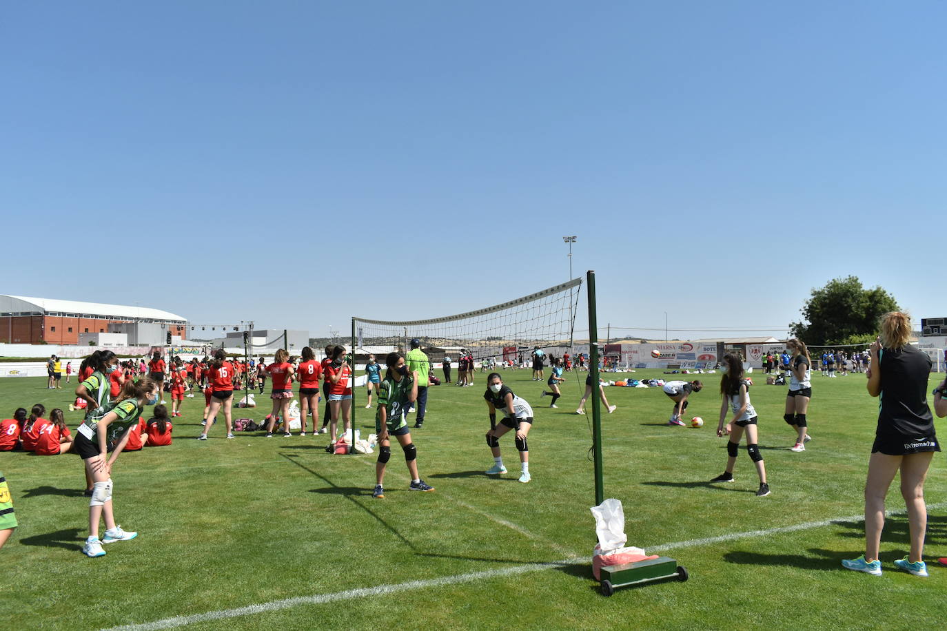 El Estadio Municipal de Miajadas acogió el 'X Día del Minivoley de Extremadura', en el que se dieron cita unos 340 jugadores prebenjamines, benjamines y alevines llegados desde Cáceres, Badajoz, Mérida, Coria, Usagre, Almendralejo, Brozas, Torrejoncillo, Ribera del Fresno, Madrigal de la Vera, Villanueva del Fresno y Miajadas. El césped fue dividido en diez canchas en las que disputaron distintos partidos de manera simultánea desde las 10 de la mañana hasta las 12:30, debido a las altas temperaturas. Al finalizar la jornada cada jugador recibió una medalla por parte del presidente de la Federación Extremeña de Voleibol, José Carlos Dómine, el vicepresidente Antonio García, y el alcalde de Miajadas, Antonio Díaz. 