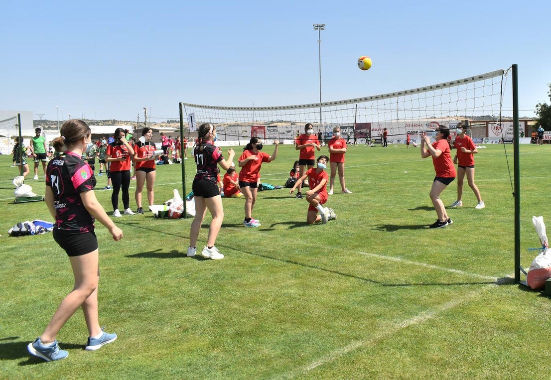 El Estadio Municipal de Miajadas acogió el 'X Día del Minivoley de Extremadura', en el que se dieron cita unos 340 jugadores prebenjamines, benjamines y alevines llegados desde Cáceres, Badajoz, Mérida, Coria, Usagre, Almendralejo, Brozas, Torrejoncillo, Ribera del Fresno, Madrigal de la Vera, Villanueva del Fresno y Miajadas. El césped fue dividido en diez canchas en las que disputaron distintos partidos de manera simultánea desde las 10 de la mañana hasta las 12:30, debido a las altas temperaturas. Al finalizar la jornada cada jugador recibió una medalla por parte del presidente de la Federación Extremeña de Voleibol, José Carlos Dómine, el vicepresidente Antonio García, y el alcalde de Miajadas, Antonio Díaz. 